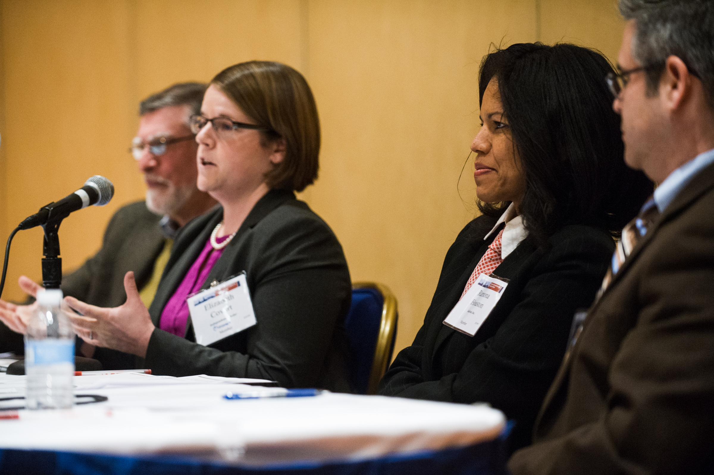 Photo by Marc Monaghan. <p>Walter M. Licht, Elizabeth Covart, Ramona Houston, and R. Darrell Meadows discuss the topic “Getting to the Malleable PhD” at the annual meeting.