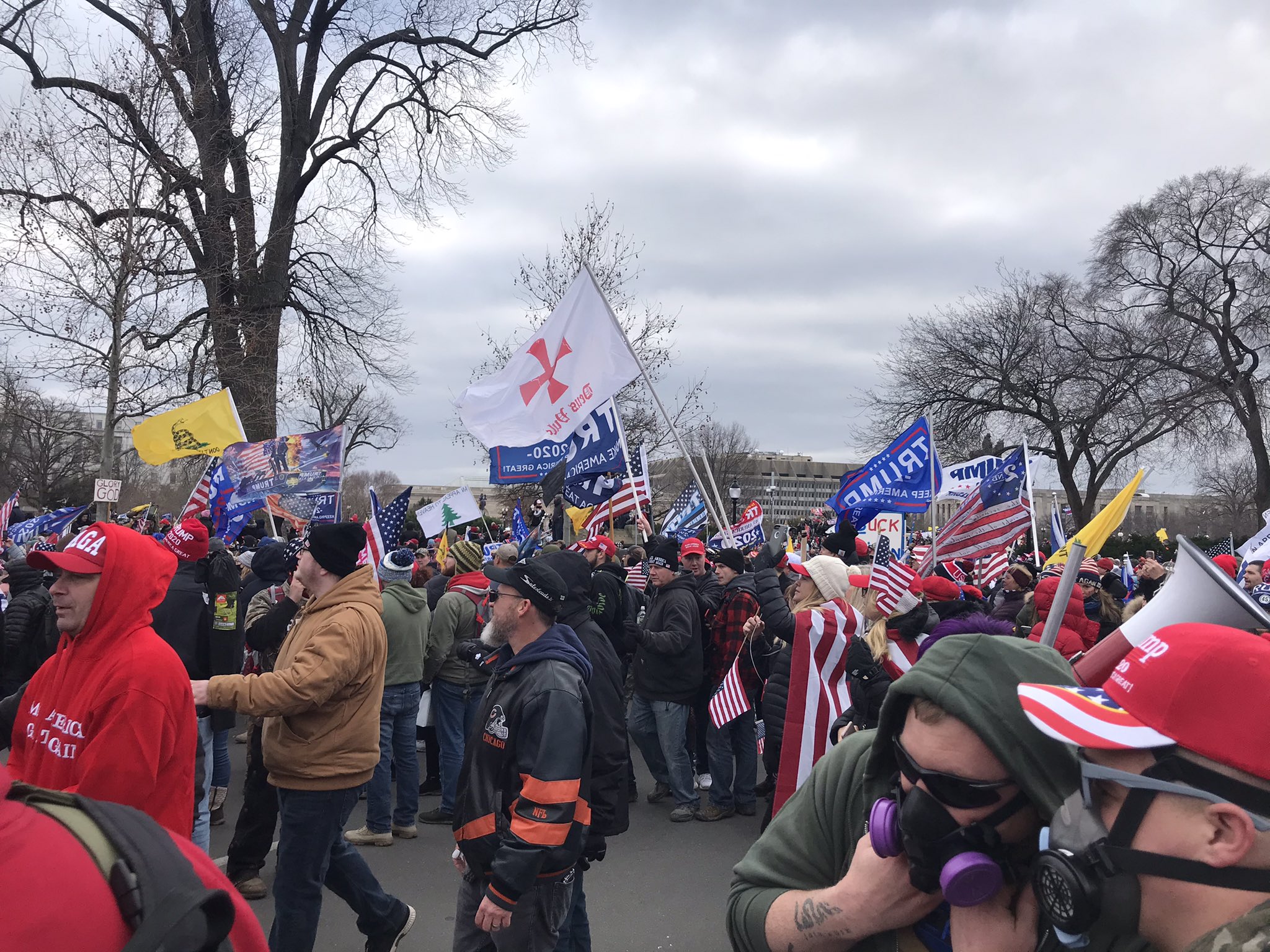 The crowd at the Capitol carried Trump campaign flags, alongside Gadsden and Knights Templar flags.