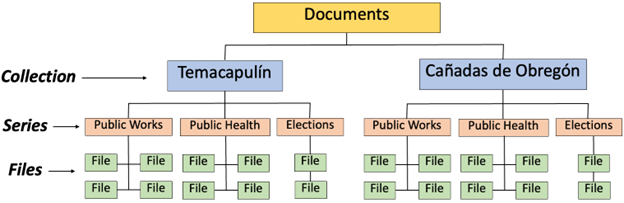 A tree diagram demonstrating the relationship between collections, series, and files.