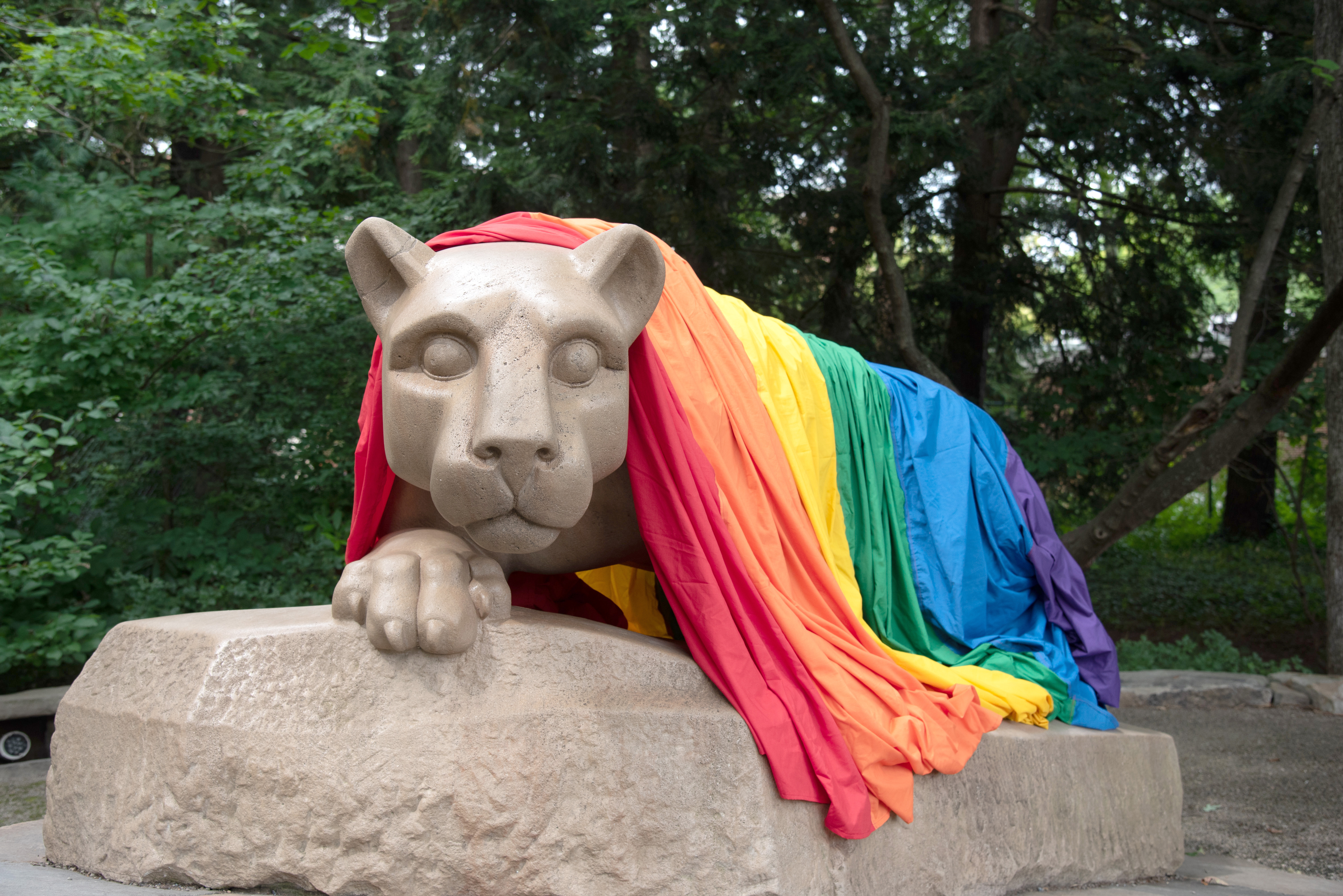 A large mountain lion sculpture draped with an LGBTQ+ rainbow flag.