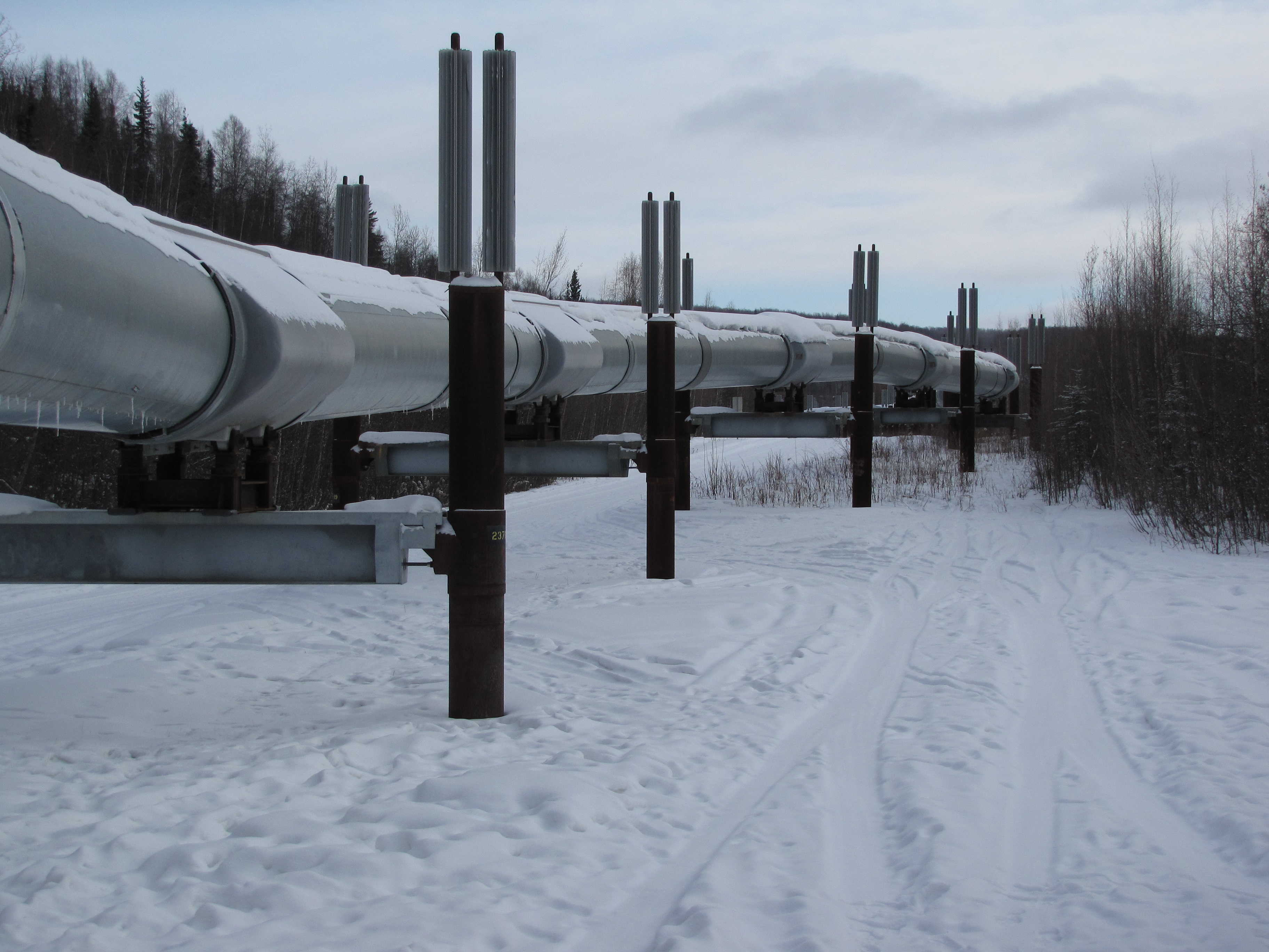 A large pipe cuts through snowy woods.