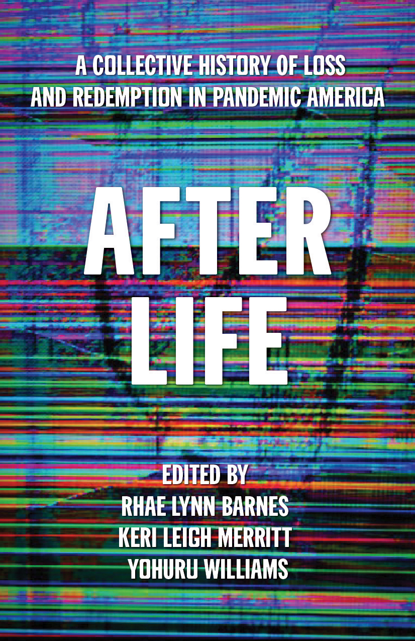 Cover of After Life book.