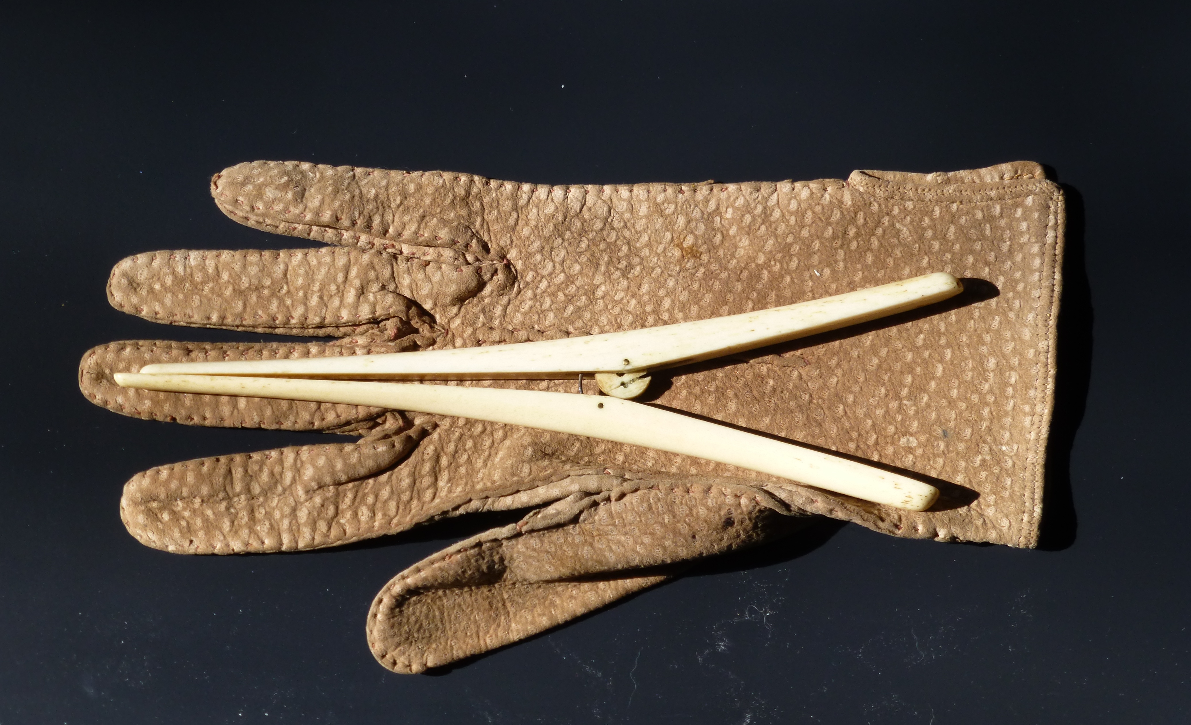 An ivory glove stretcher and leather glove: family heirlooms turned teaching tools. Courtesy of Abby Chandler.