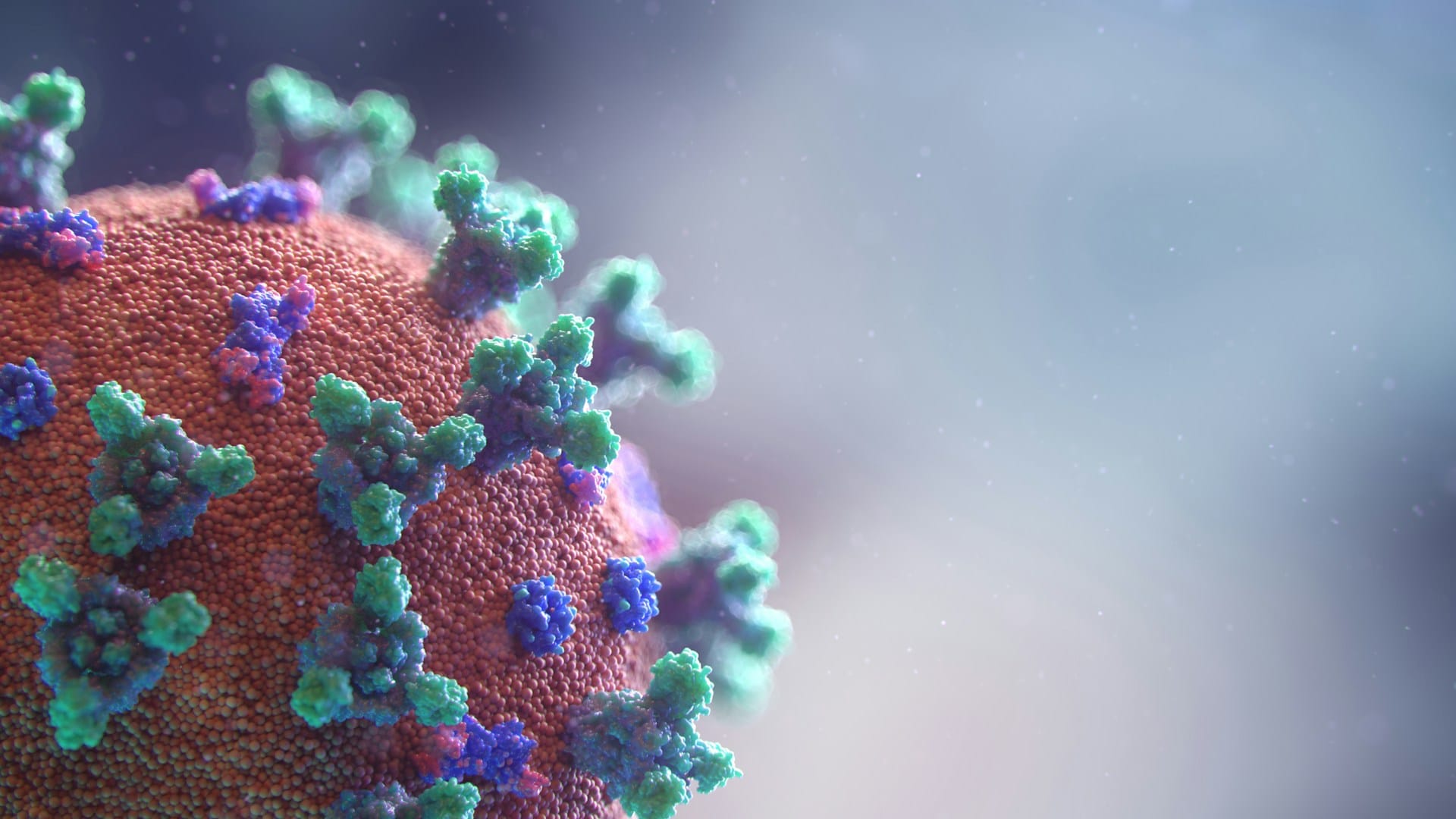 fusion-medical-animation-npjP0dCtoxo-unsplash Microscopic view of coronavirus.