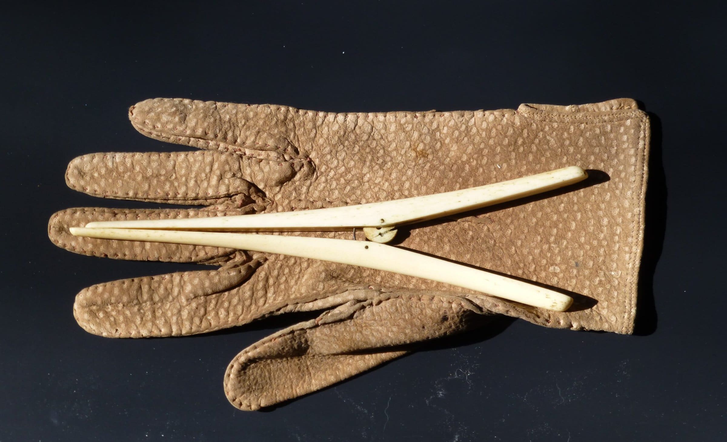 An ivory glove stretcher and leather glove: family heirlooms turned teaching tools. Courtesy of .