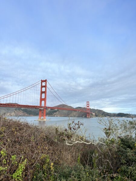The golden gate bridge with shrubbery in the foreground and water and mountains in the background