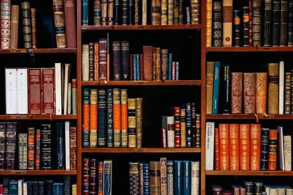 Library shelves with leather-bound books.