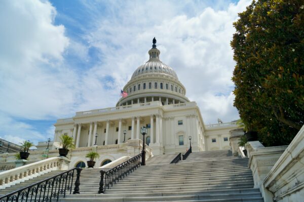 White, marble steps with black iron handrails, leading up to the US Capitol building in Washington, DC