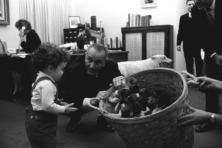 LBJ with a little boy and a basket of puppies.