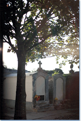 Image courtesy the New Orleans Convention and Visitor's Bureau.