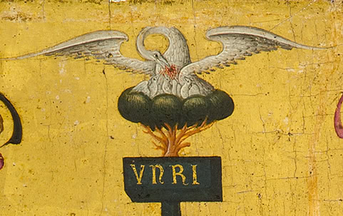 pelican