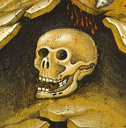skull