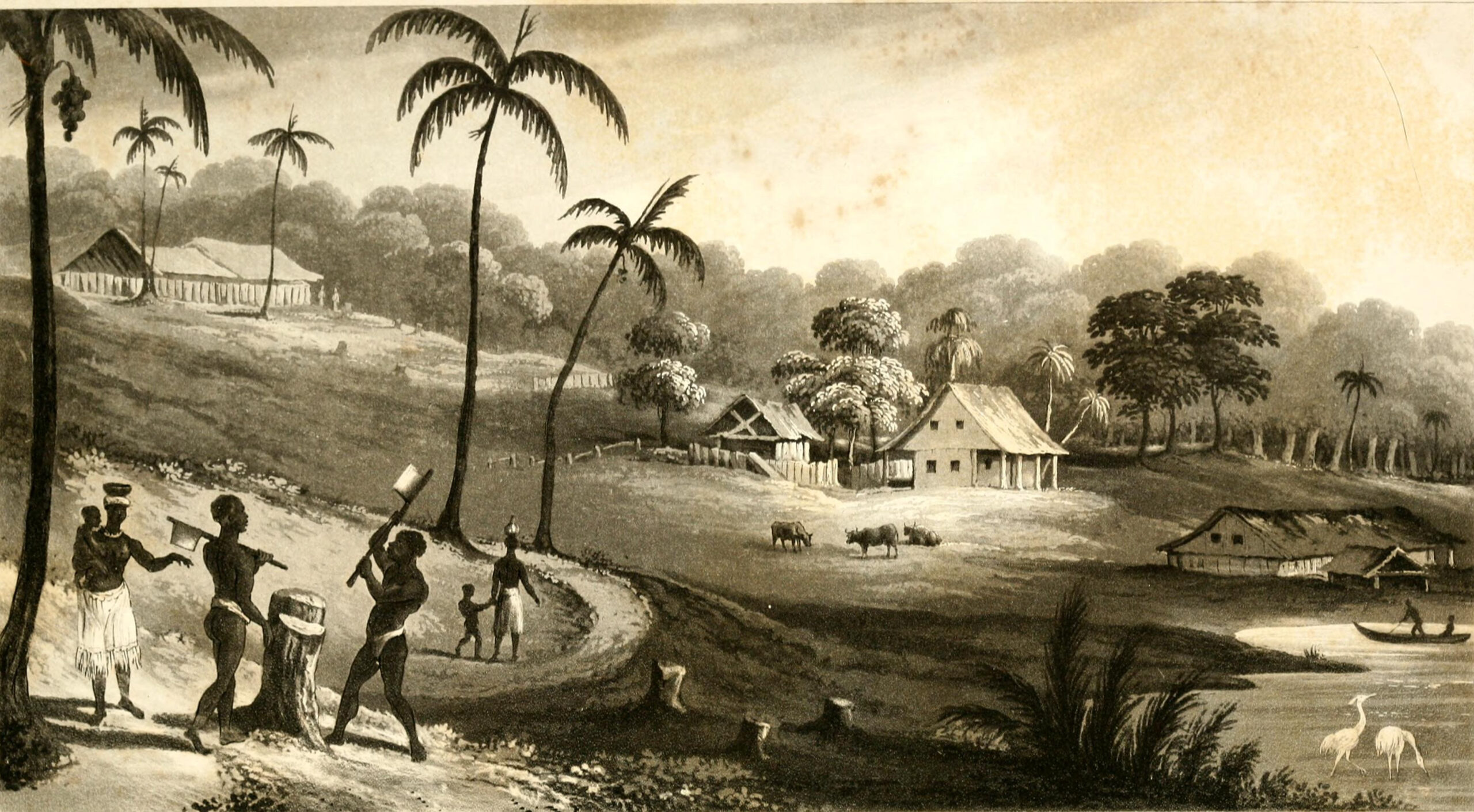 Illustration of enslaved people chopping wood and walking on a Guyanese plantation